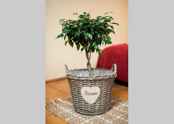 Bright Loft In Amazing Location Apartmán