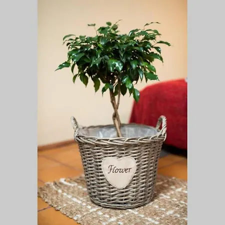 Bright Loft In Amazing Location 아파트